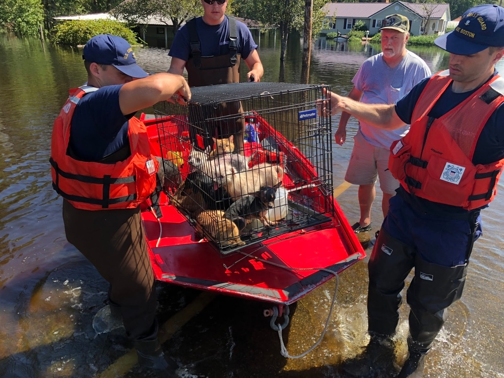 Coast Guard rescuers lift a crate of household pets onto a red boat in a flooded North Carolina neighborhood after Hurricane Florence.