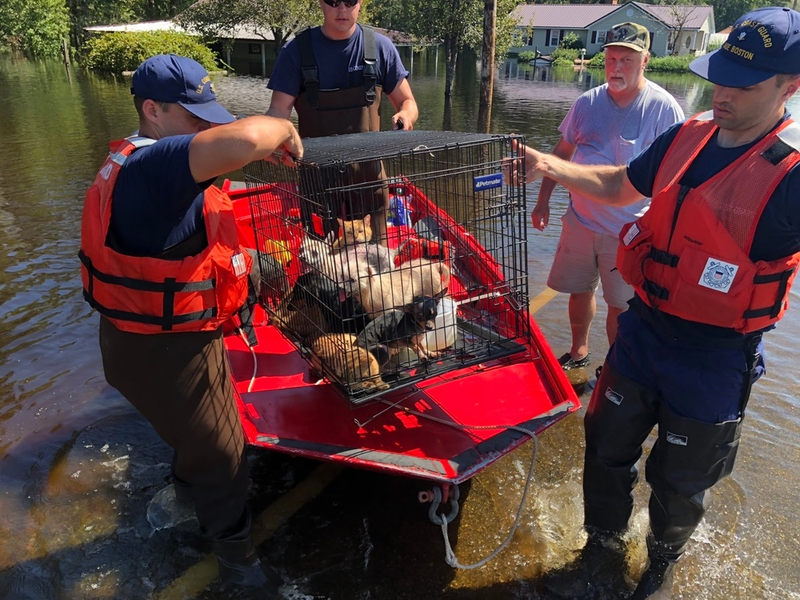 Coast Guard rescuers lift a crate of household pets onto a red boat in a flooded North Carolina neighborhood after Hurricane Florence.